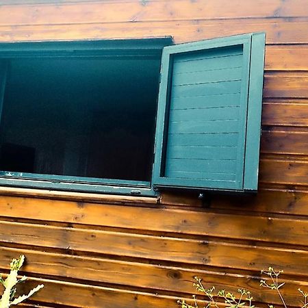 Tiny House Les Cactus - Bungalow St Gilles Les Hauts Saint-Paul ภายนอก รูปภาพ